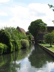 IMG 2608 01